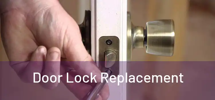  Door Lock Replacement 